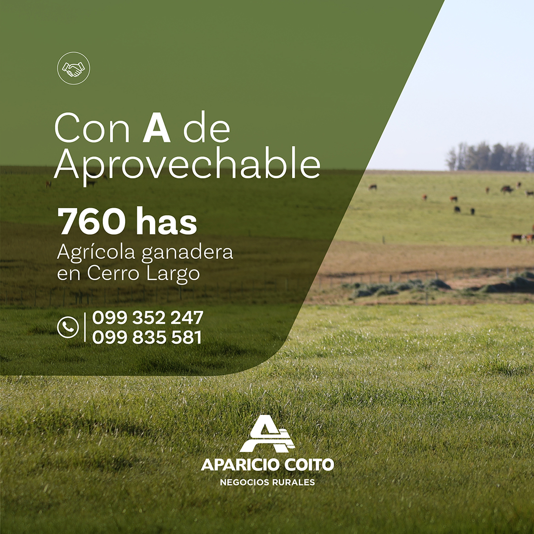 Campo en Cerro Largo