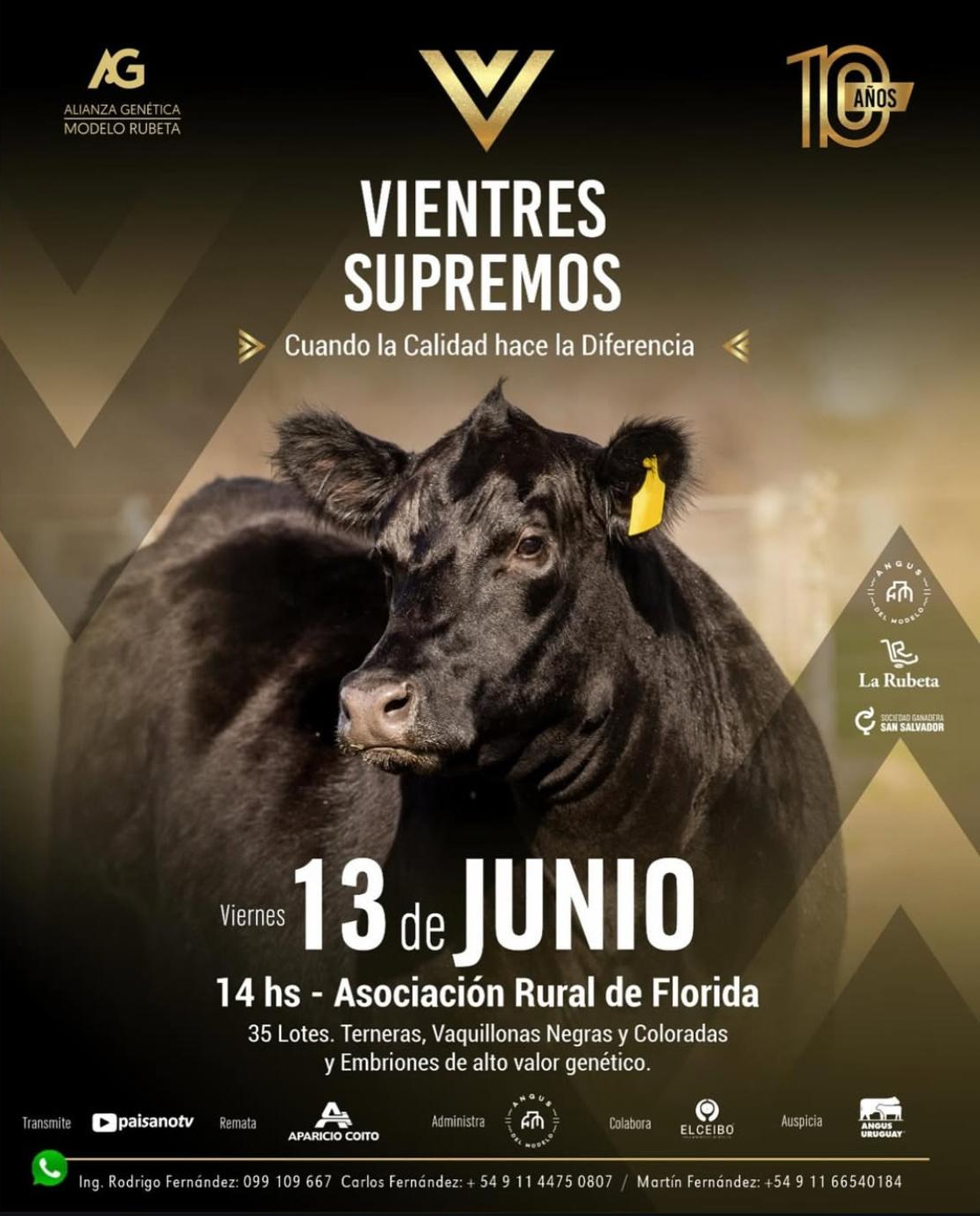 Vientres_supremos